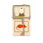 Mouse traps - MT-4